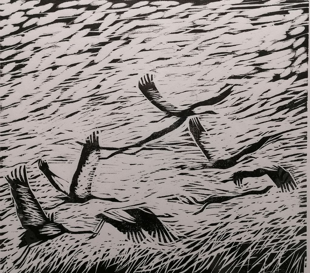 grafiikka nimeltä Lähtevät linnut taiteilijalta Joonas Vähäsöyrinki