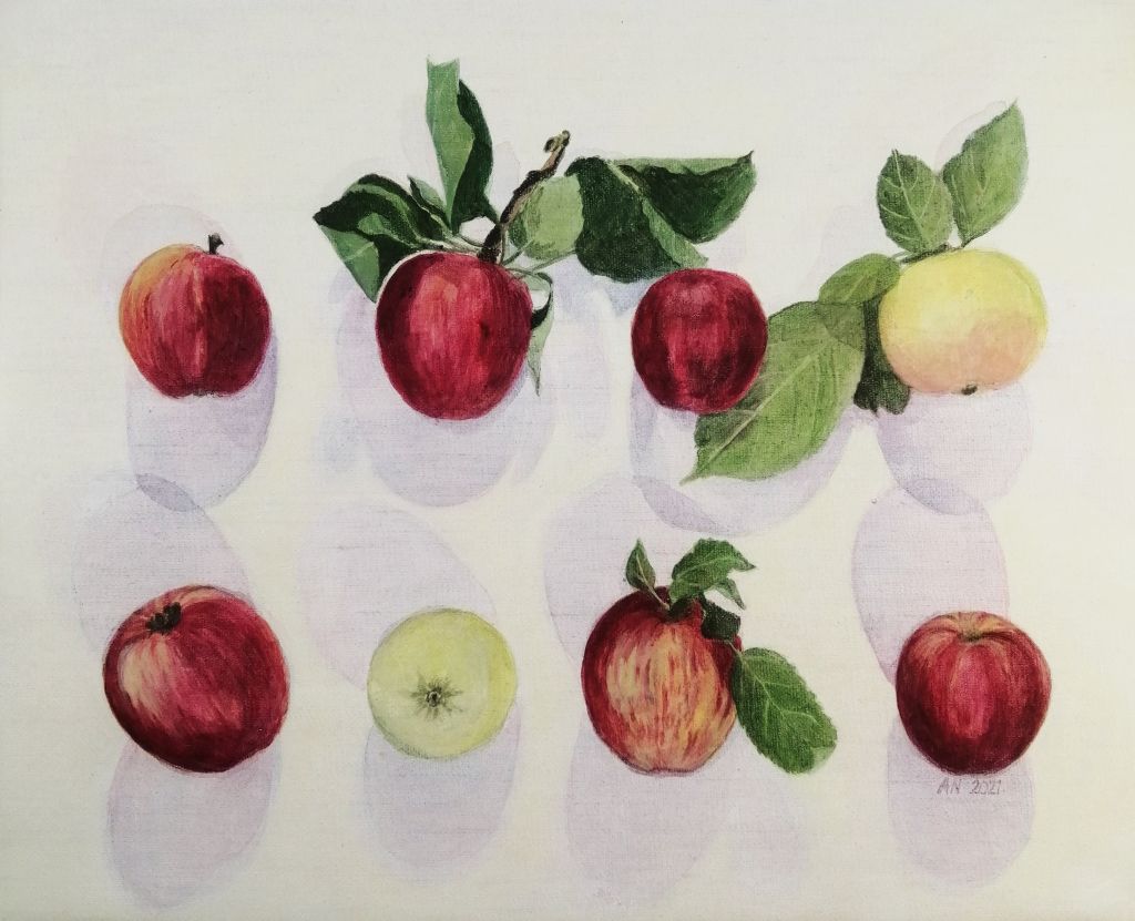 maalaus nimeltä Omenat ja omenien varjot taiteilijalta Anja Nissinen